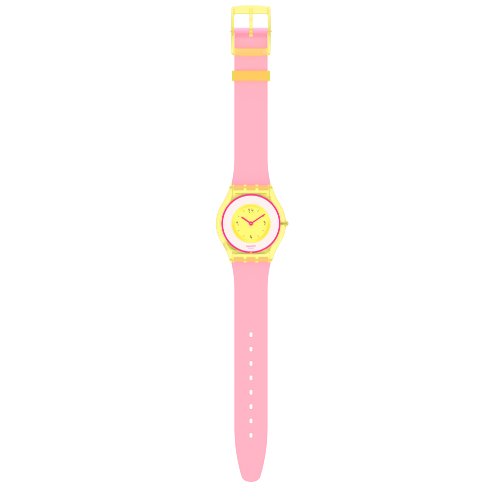 Watches Swatch 