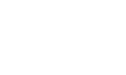 Logo Sinn Watches